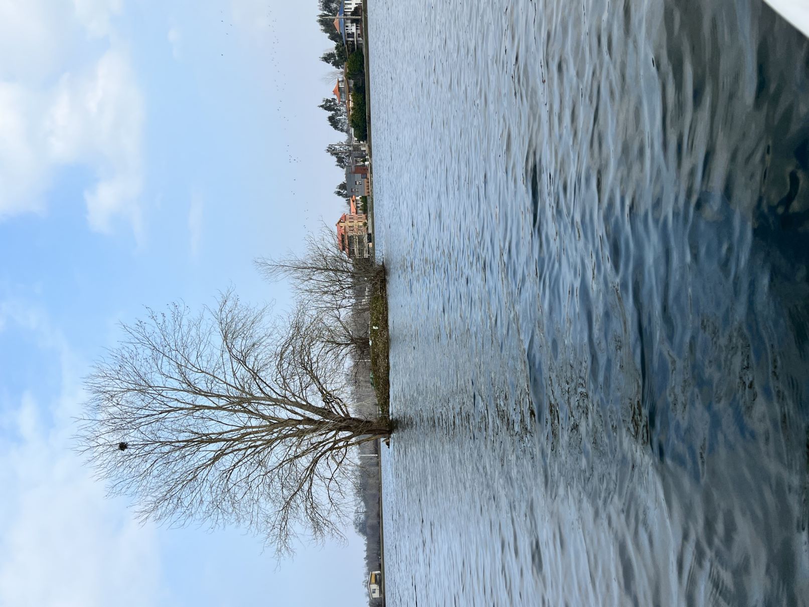 فروش زمین با ویو جنگل